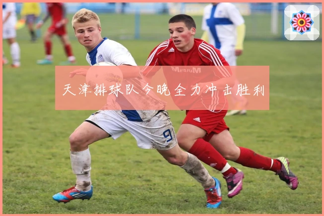 天津排球队今晚全力冲击胜利